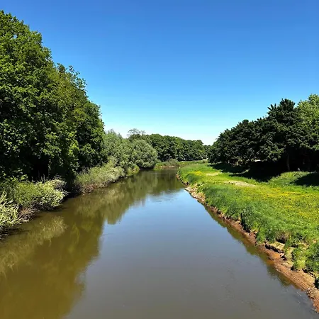 Micaela Lejlighed Haselünne