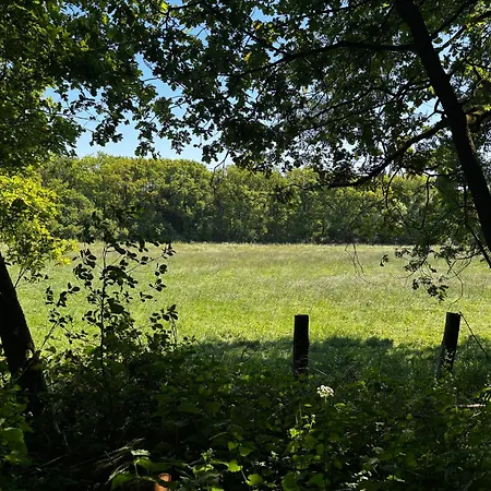 Micaela Lejlighed Haselünne