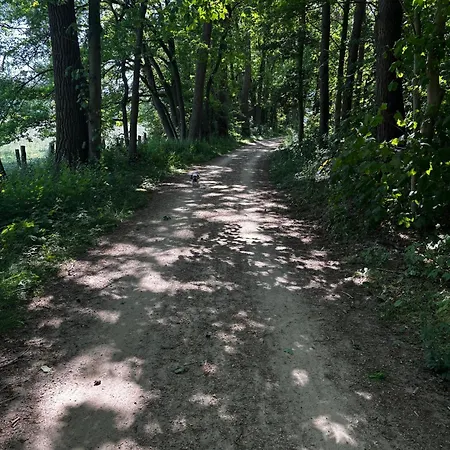 Micaela Lejlighed Haselünne